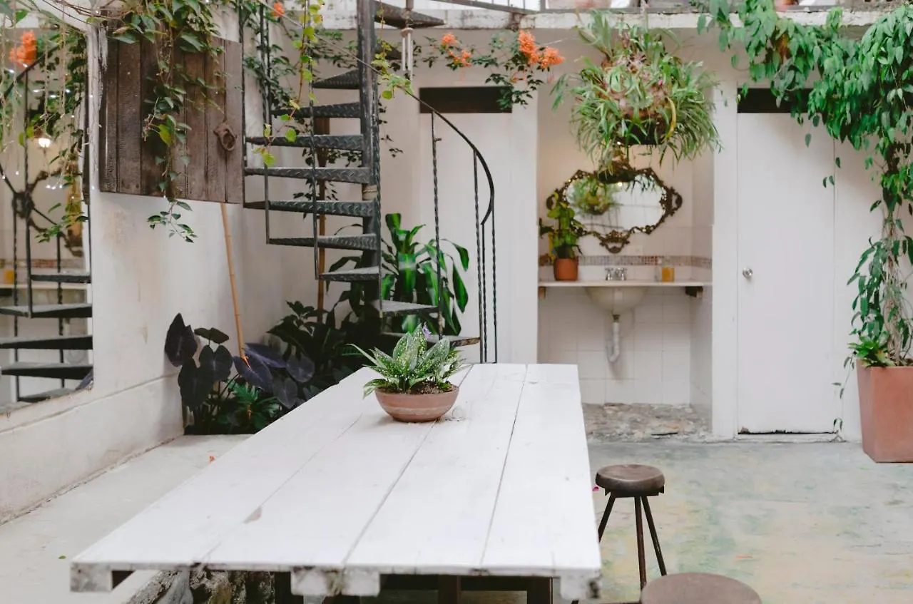 Florentina Symbiosis Medellín Hostel